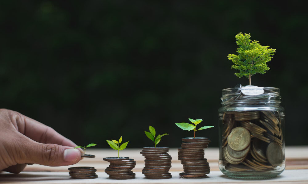 Top 7 SIP Mutual Funds for 2024: Best Returns on Rs 10,000, Rs 15,000, and Rs 20,000 SIPs