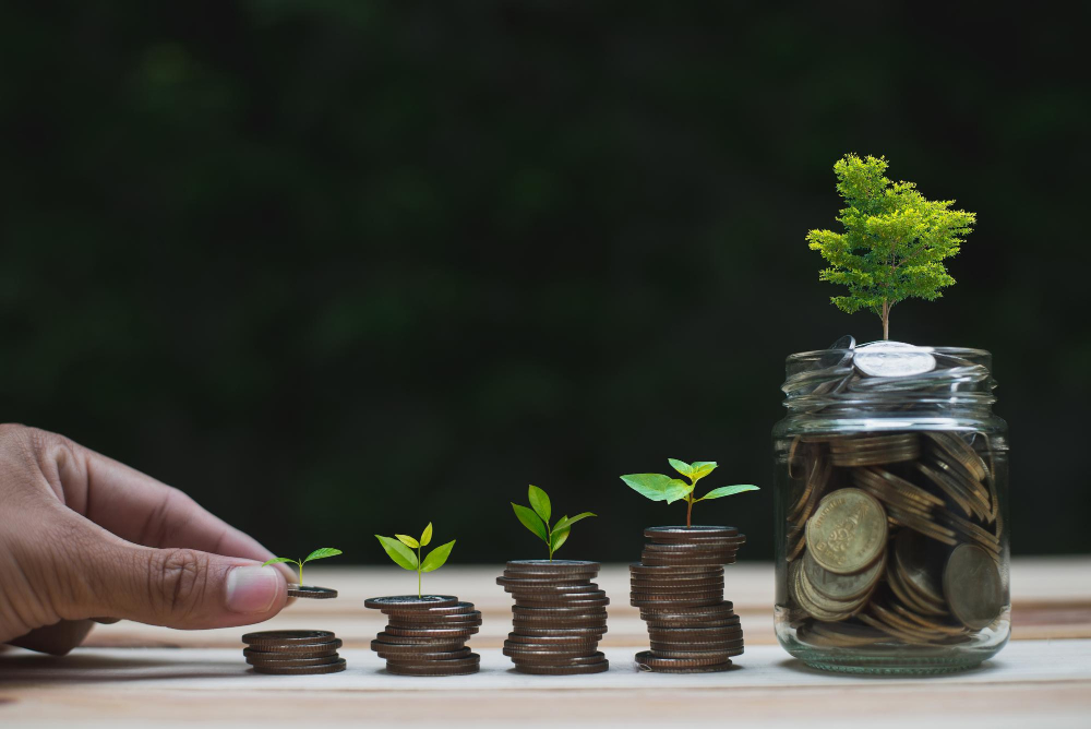 Top 7 SIP Mutual Funds for 2024: Best Returns on Rs 10,000, Rs 15,000, and Rs 20,000 SIPs