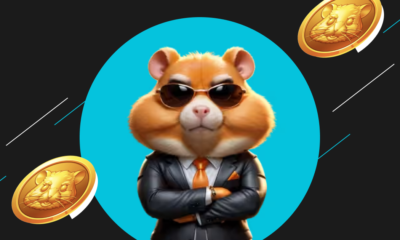 Hamster Kombat Coin (HMSTR) to INR: Latest Value and Popularity in India