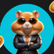 Hamster Kombat Coin (HMSTR) to INR: Latest Value and Popularity in India