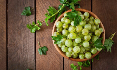 benefits of eating 1 amla daily on an empty stomach