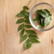 Health Benefits of Curry Leaves | Nutritional & Medicinal Uses